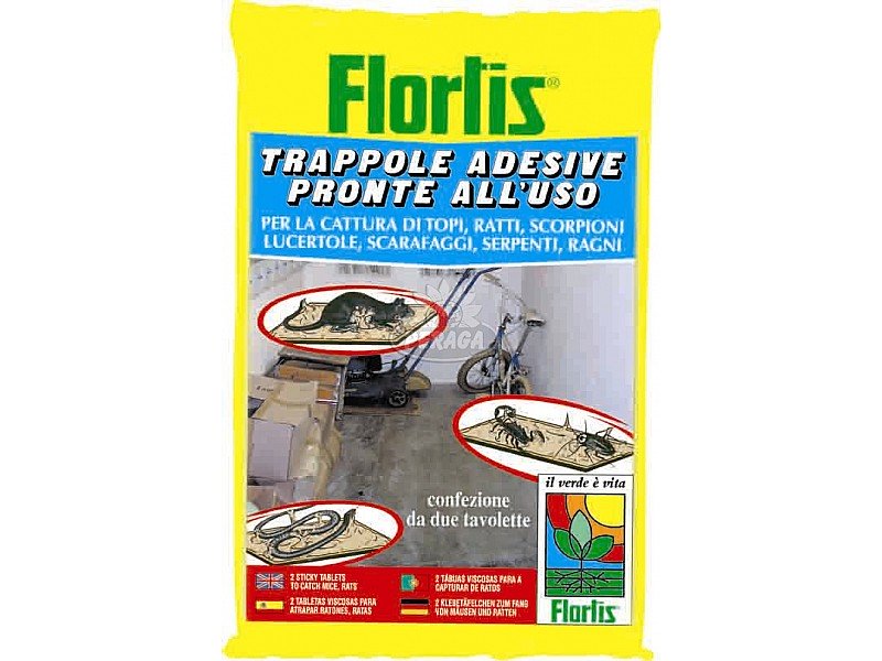 12 Trappole Adesive Extra Large Per Insetti – Cattura Cricket, Ragni, Scorpioni, Millepiedi E Scarafaggi – Sicure Per Bambini E Animali, Per Interni