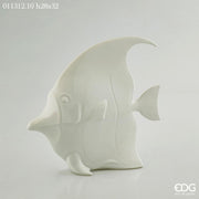 PESCE PIATTO 28X32 BIANCO