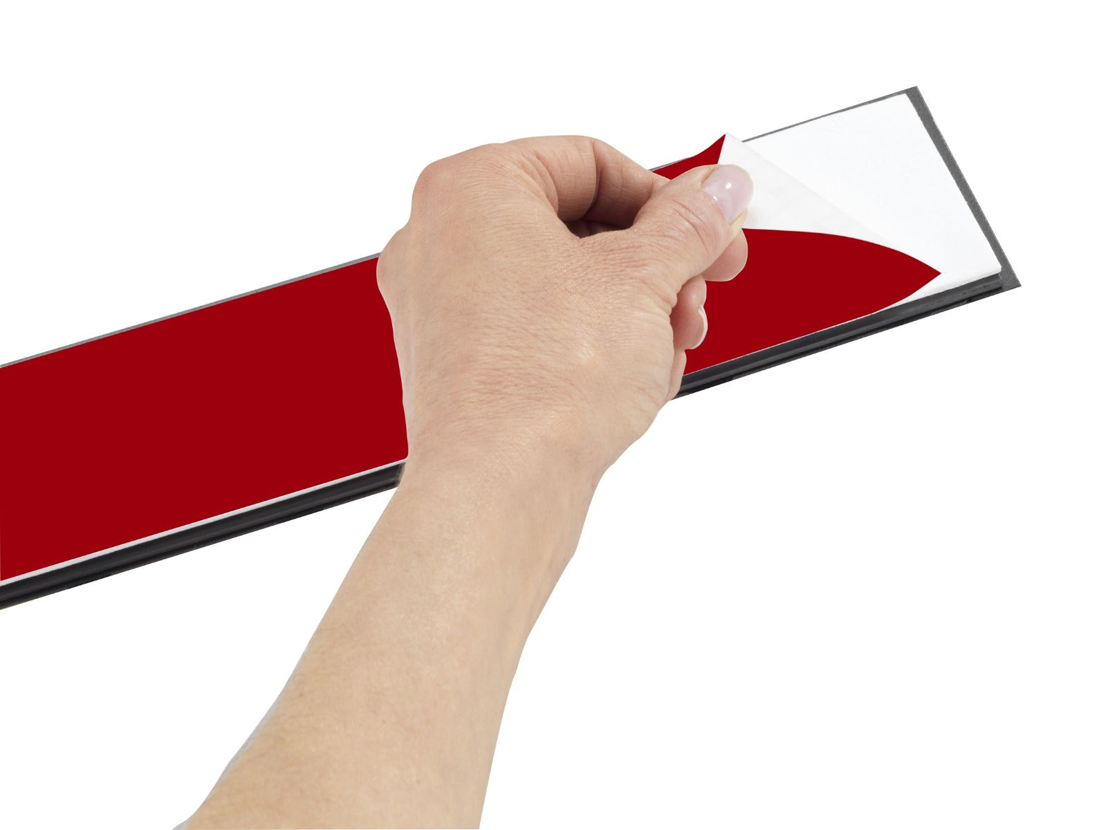 APPENDINO MAGNETICO GANCIO MULTIPLO CON RIPIANO