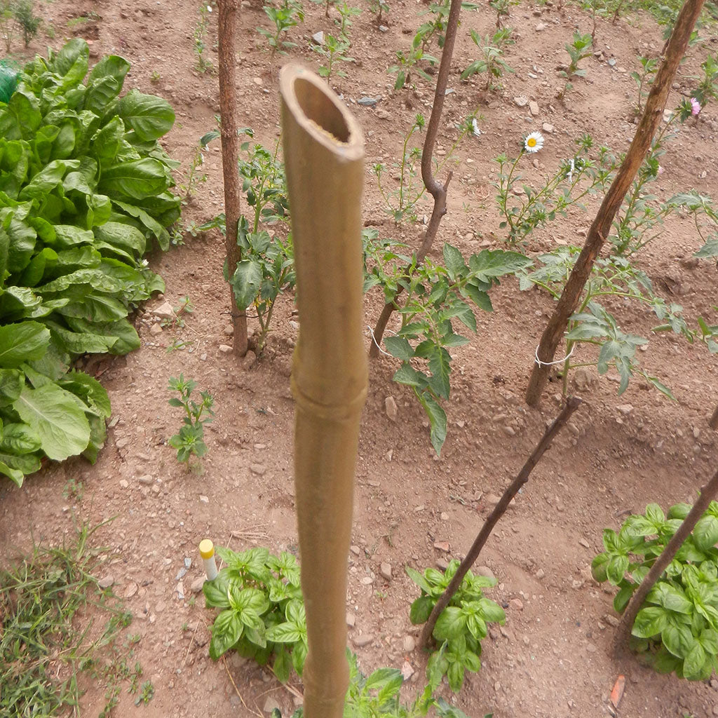 Tutore Sintetico Bamboo Up 180 cm Naturale TENAX - immagine 2