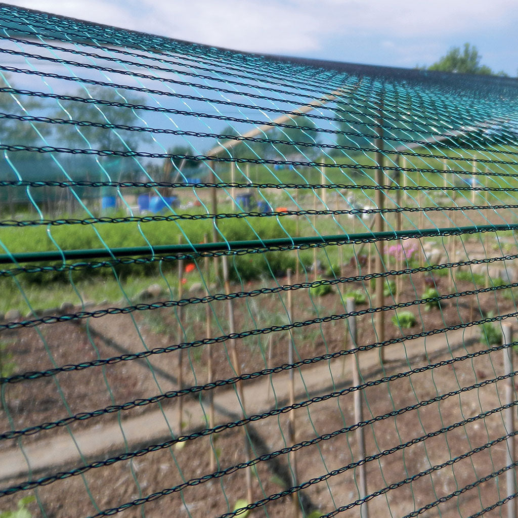 Rete Antigrandine Defender 2 x 10 m Verde TENAX - immagine 2