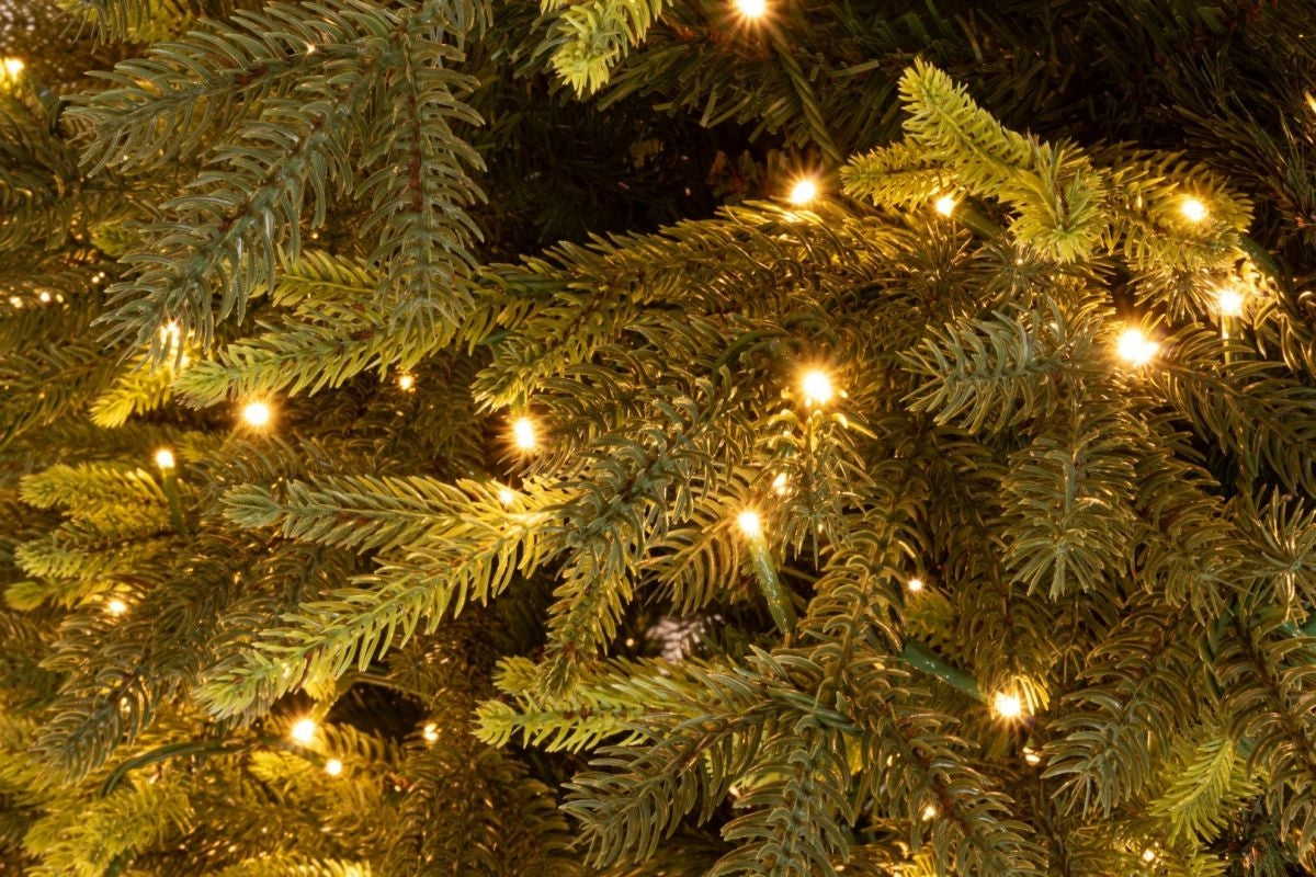 Albero di Natale Berkshire, 240 cm (D152 cm), Verde, 2500 LED – 7456 rami