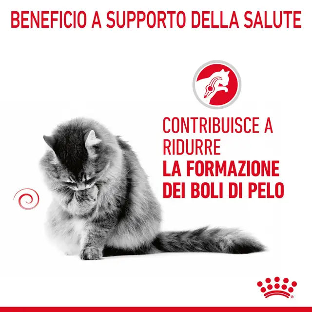 ROYAL CANIN GATTO HAIRBALL CARE 12X85GR SECCO