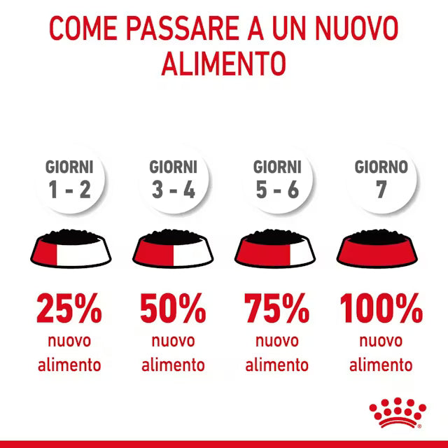 ROYAL CANIN GATTO HAIRBALL CARE 12X85GR SECCO