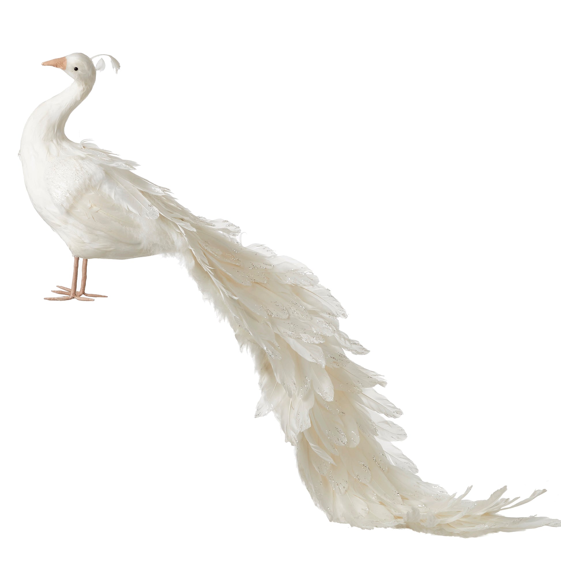 UCCELLINO CON CODA LUNGA IN PIUME H.43 CM BIANCO
