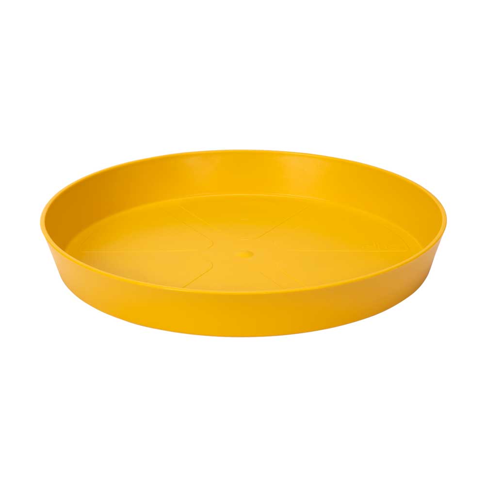 LOFT URBAN UNTERTASSE RUND 24CM FARBE NACH WAHL