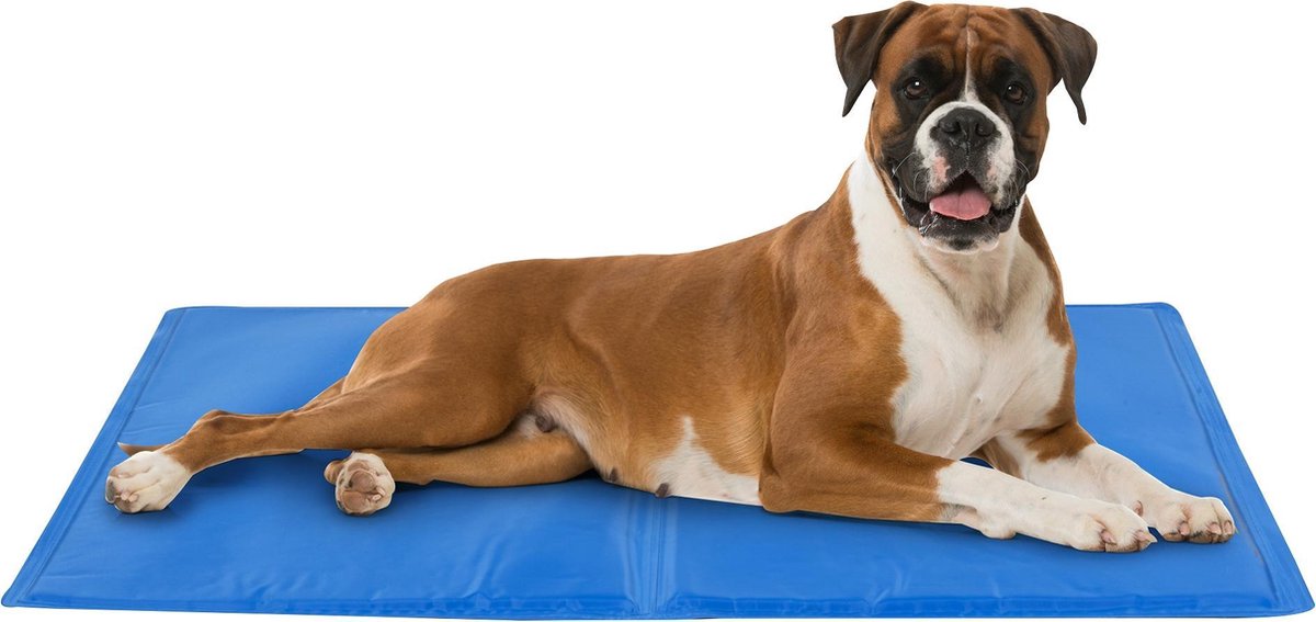 STUOIA REFRIGERANTE PER CANI 65X50CM - MEDIUM