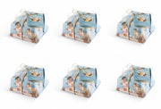 OFFERTA 6 PANETTONI PARADISO INCARTO COLOR EDITION 750GR