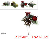 OFFERTA 5 RAMETTI CON PIGNA CON FRUTTI APPENDIBILE ASSORTITI