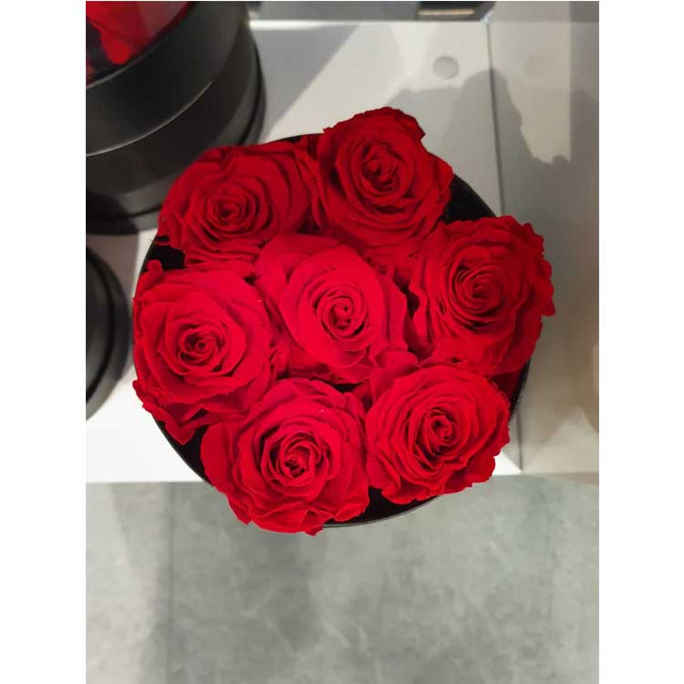 ROSE CHERIE STABILIZZATE PROFUMATE 7PZ 16 CM ROSSO