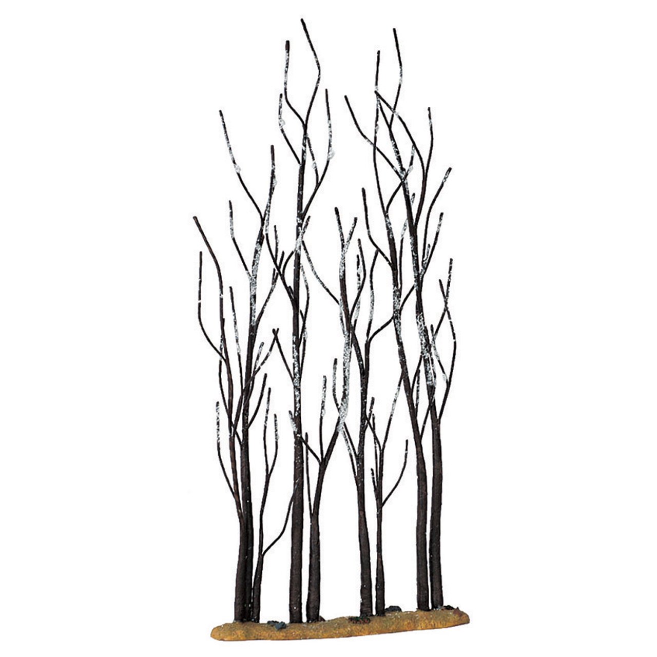 ALBERELLI DI SICOMORO - STAND OF SYCAMORE