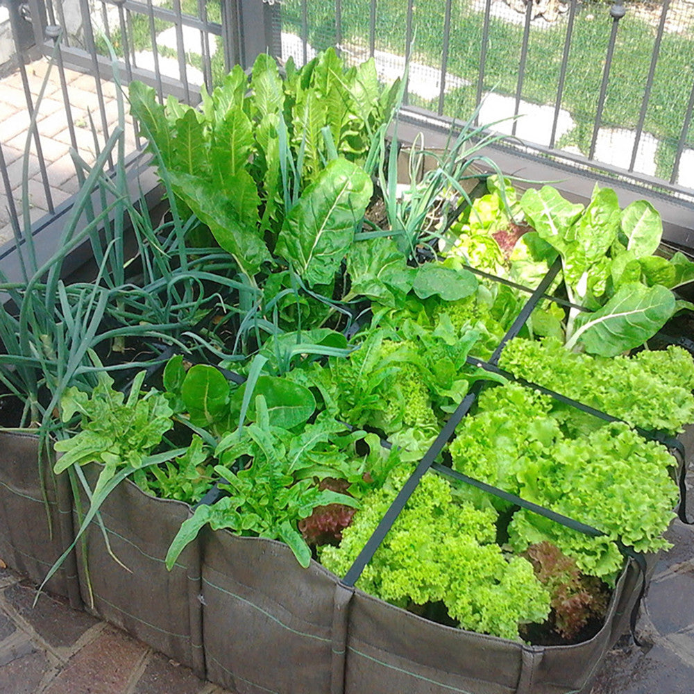 CONCIME LIQUIDO BIOLOGICO ORTO DA BALCONE 500G