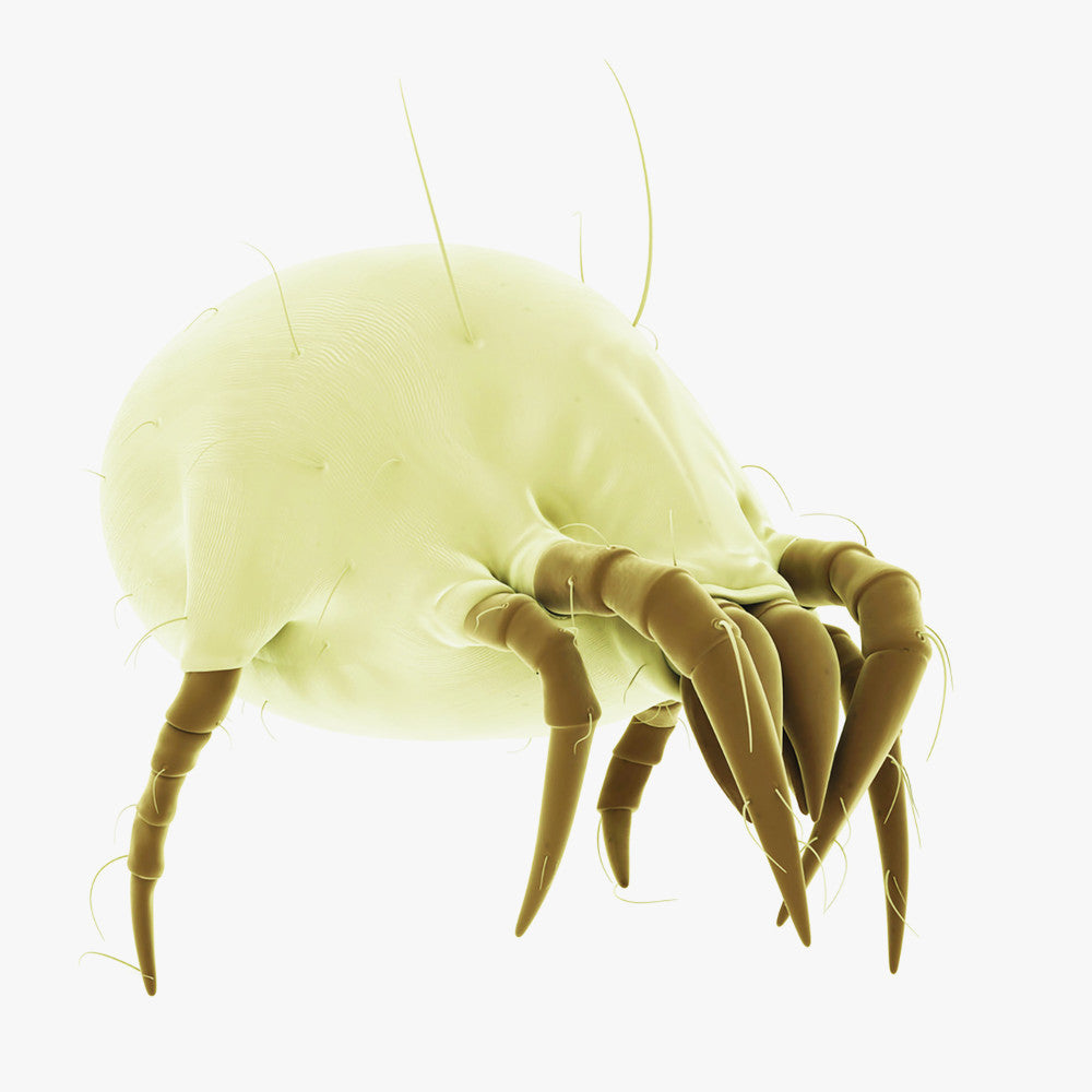 INSETTICIDA MULTINSETTO 400 ML