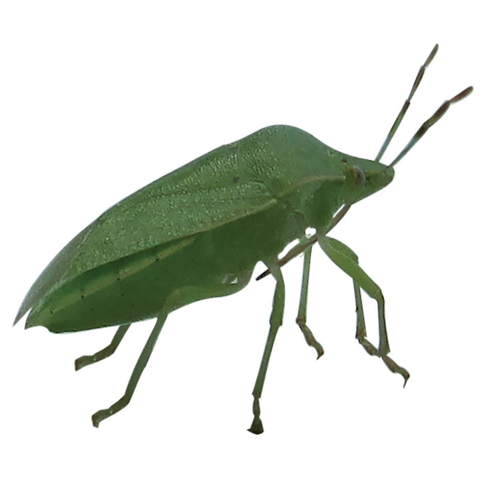 INSETTICIDA MULTINSETTO 400 ML