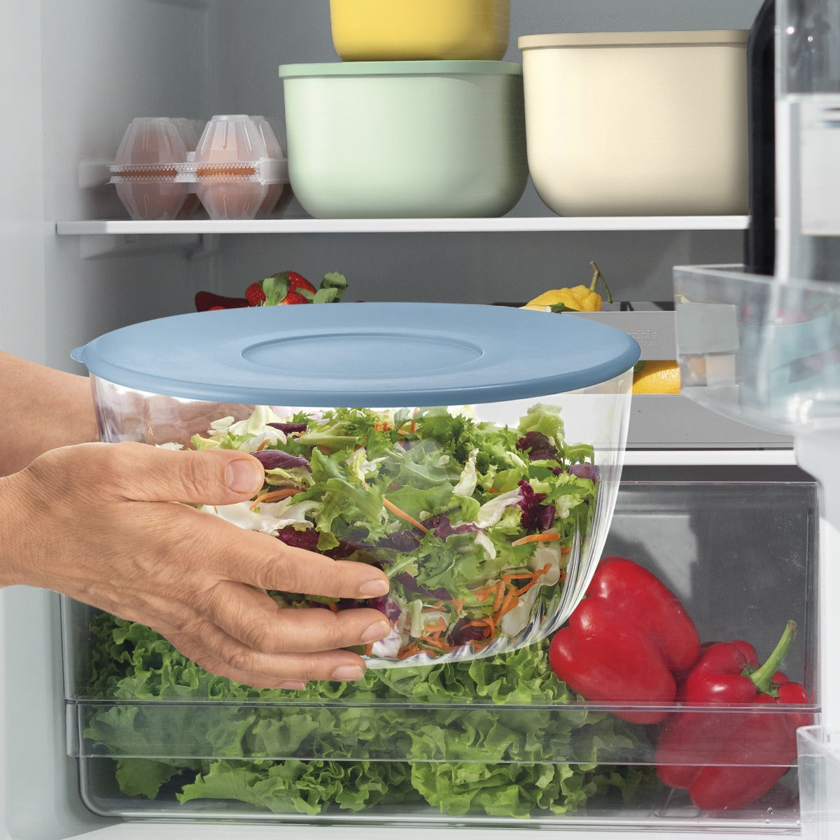 CENTRIFUGA INSALATA D.26 SPIN&STORE BLU MAT