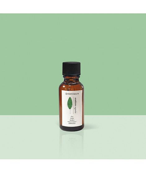 SENTIERO SEGRETO - Ricarica di profumo 27ml Essenzapura