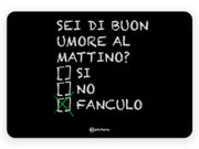 TOVAGLIETTA AMERICANA IN PP 45X30CM SEI DI BUON UMORE