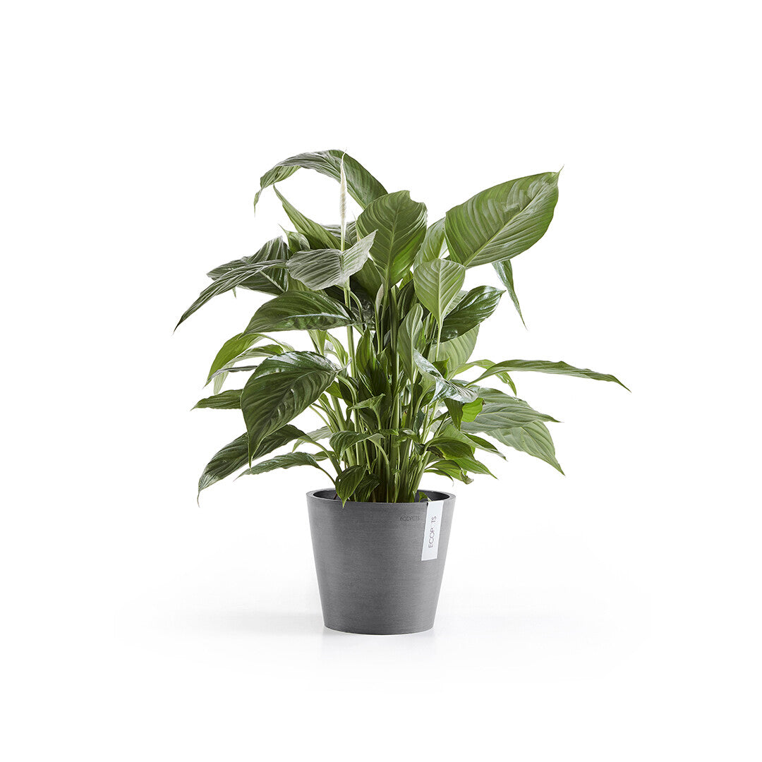 VASO AMSTERDAM 20x17,5CM GRIGIO