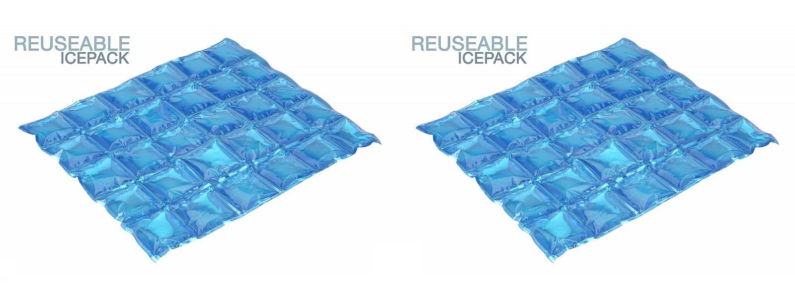 OFFERTA 2 ELEMENTI REFRIGERANTI 25X30CM PER BORSE TERMICHE