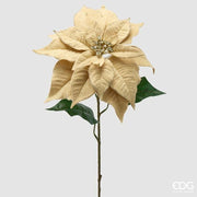 Stella di Natale Velvet Ramo H71cm D30 Avorio Oro EDG