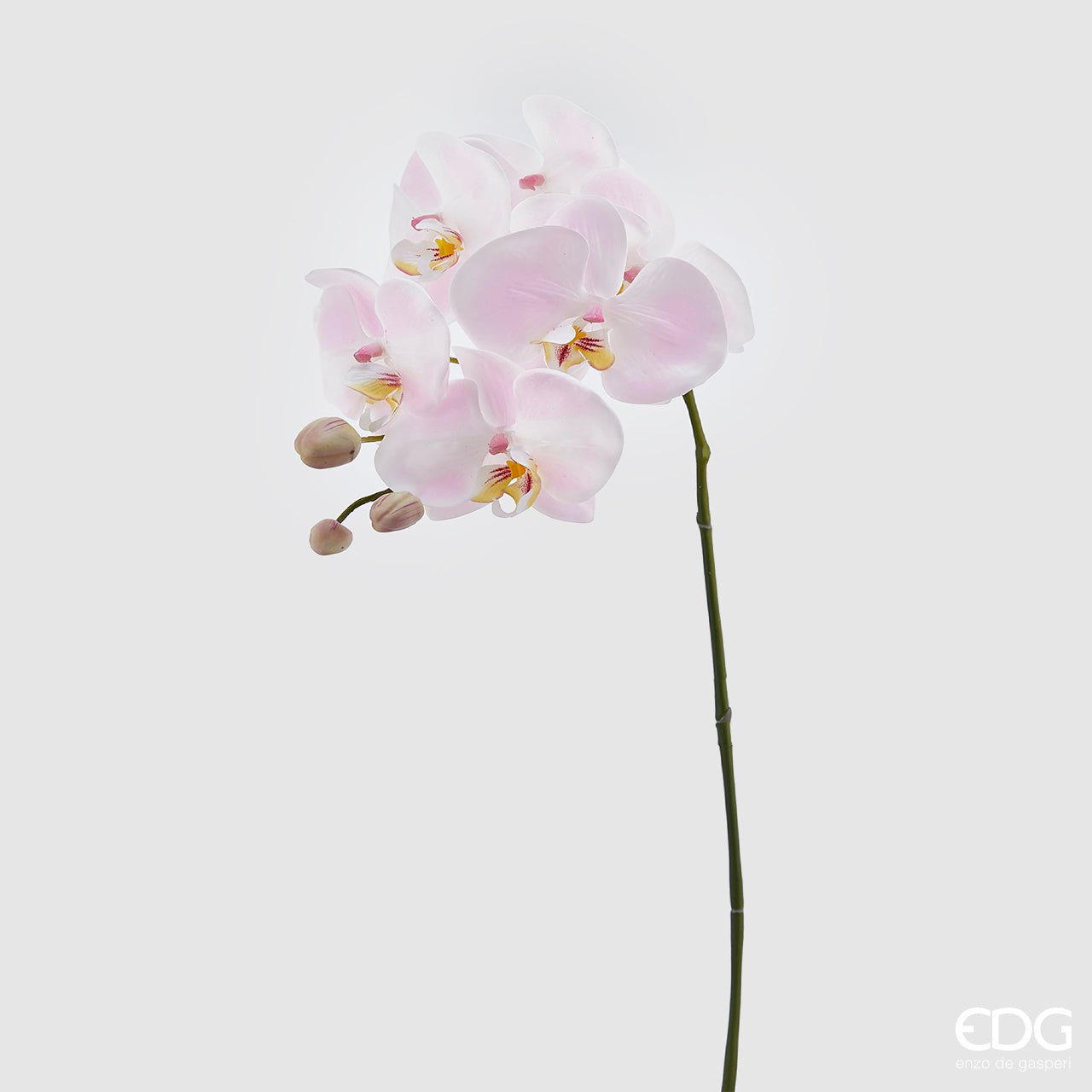 RAMO ORCHIDEA H.74 BIANCO/ROSA