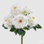 MAZZO PEONIA H.55 AVORIO