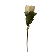 RAMO PROTEA H68 BIANCA