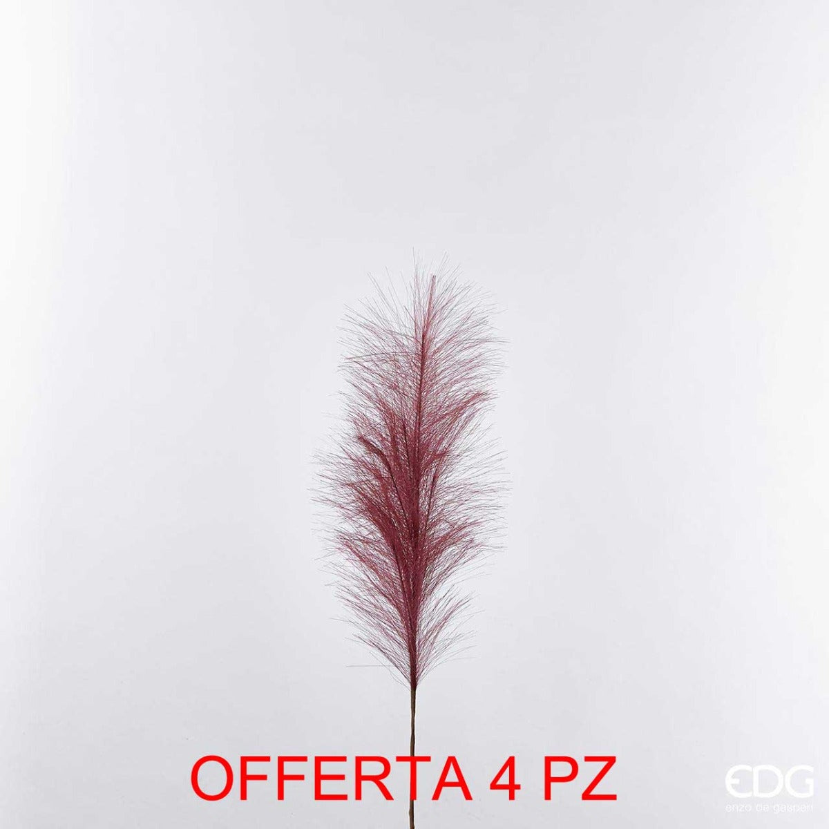 OFFERTA 4 RAMO DI PAMPA PORPORA 70CM