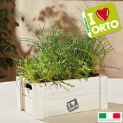 EASY ORTO RUCOLA E ERBA CIPOLLINA