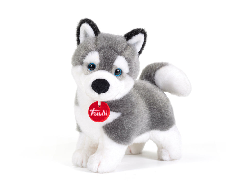 Peluche Cane Husky Marcus taglia S TRUDI - immagine 1