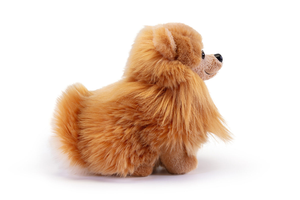 Peluche Cane Pomerania Biscuit Taglia S TRUDI - immagine 2