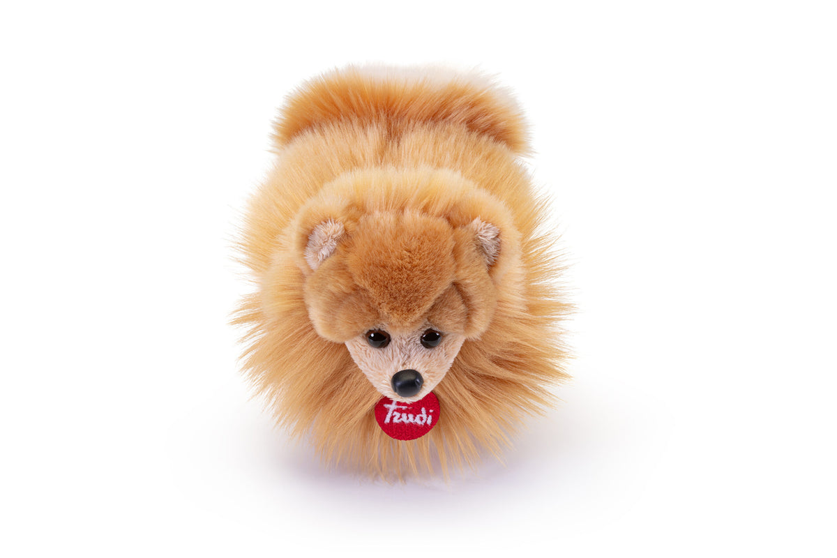 Peluche Cane Pomerania Biscuit Taglia S TRUDI - immagine 3