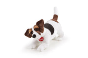 Peluche Trudi Jack Russel Jack M