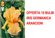 OFFERTA 15 BULBI IRIS GERMANICA ARANCIONI