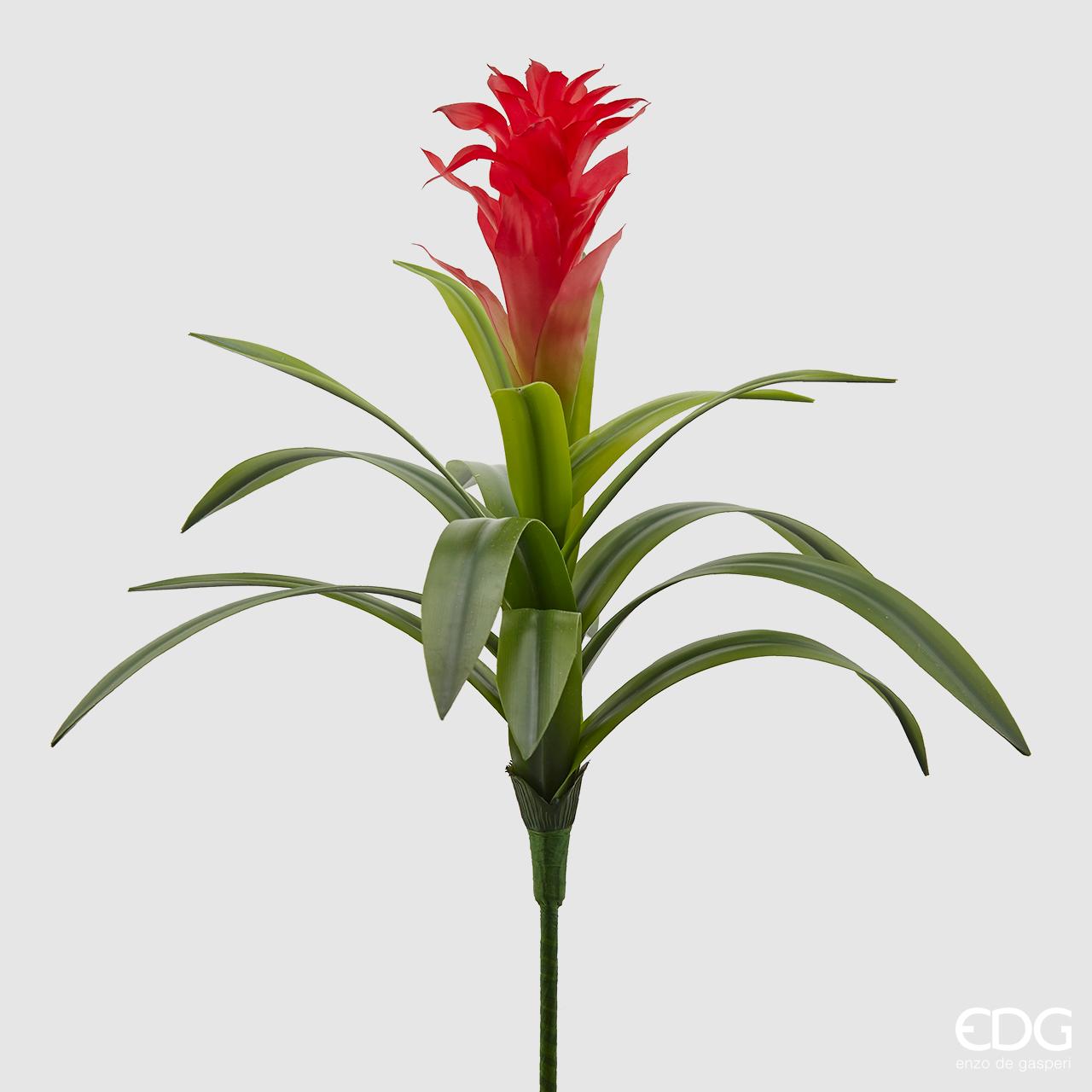 RAMO GUZMANIA H.54 VERDE/ROSSO