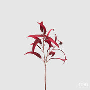 RAMO DI EUCALIPTO ROSSO H60CM