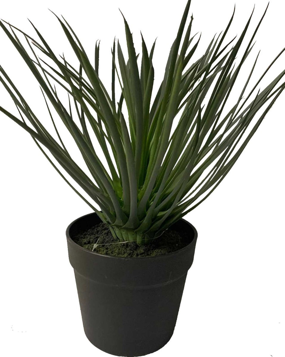 PIANTA GRASSA ARTIFICIALE 35CM IN VASO