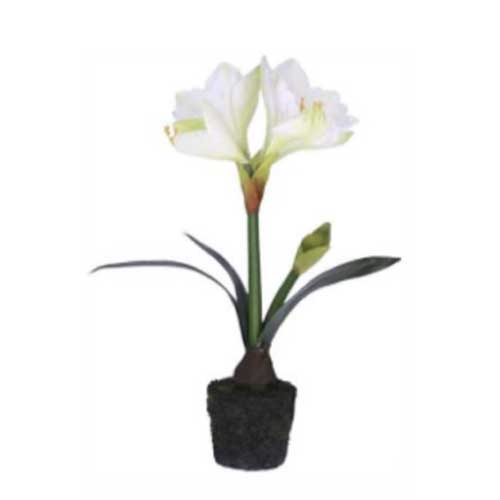 AMARILLIS BIANCO ARTIFICIALE CON ZOLLA H46CM