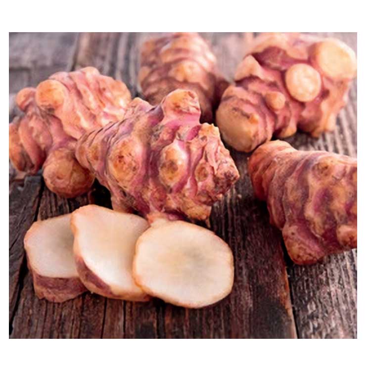 TOPINAMBUR SAKHALINSKI ROUGE (CONFEZIONE DA 5 TUBERI)