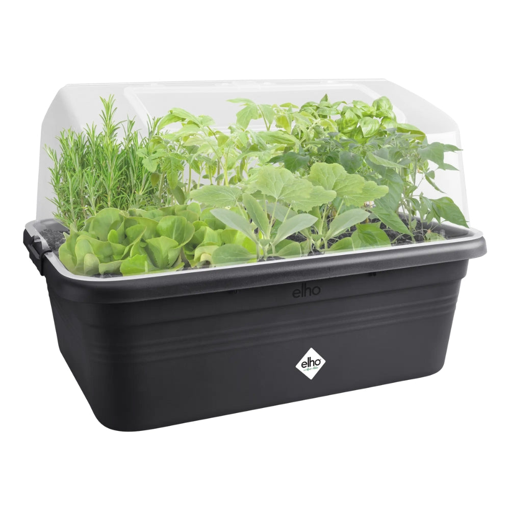 FIORIERA MINI-SERRA COPERTA GREEN BASICS GROW GARDEN HOUSE L TRASPARENTE