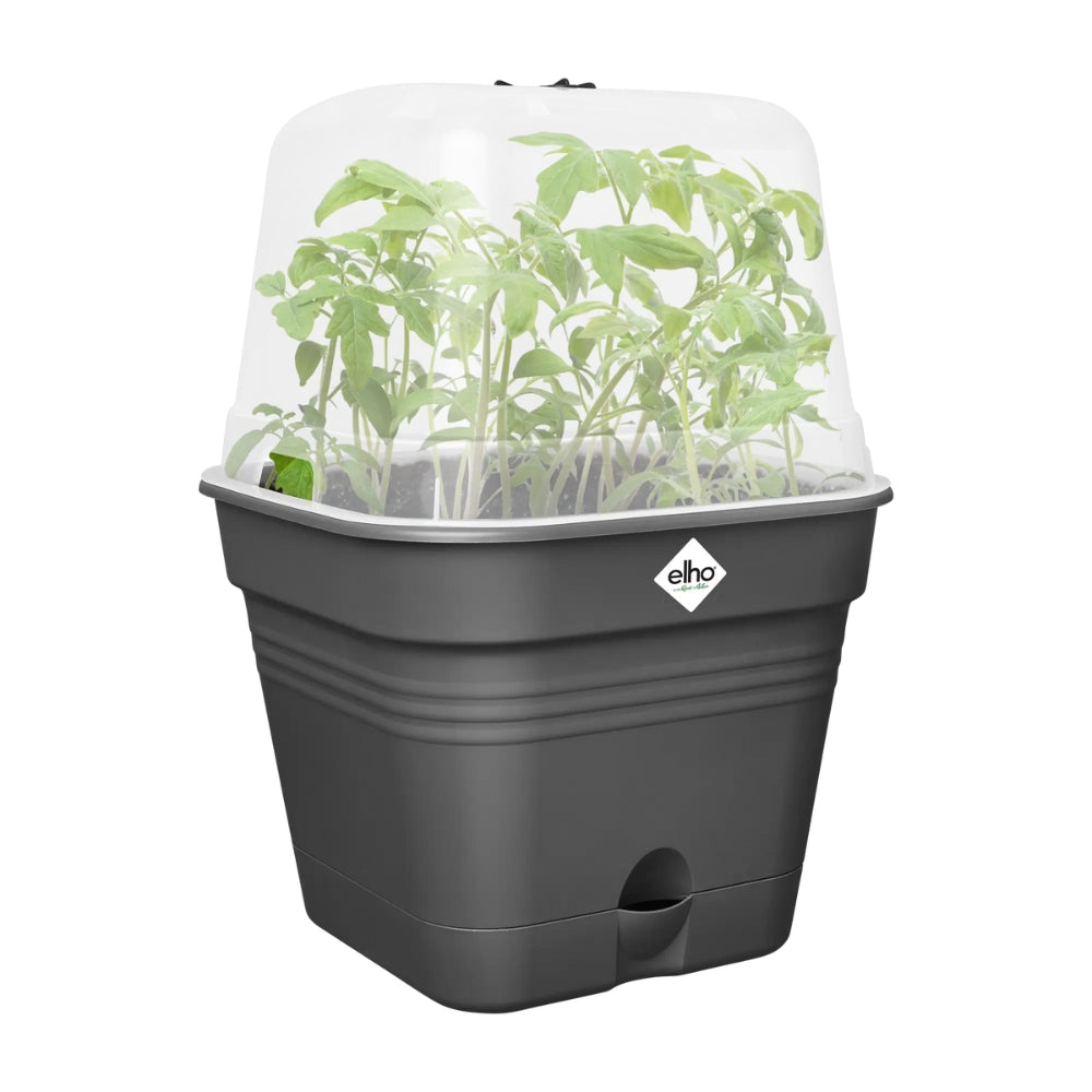 FIORIERA MINI-SERRA GREEN BASICS GROWPOT SQUARE ALLIN1 30CM LIVING BLACK
