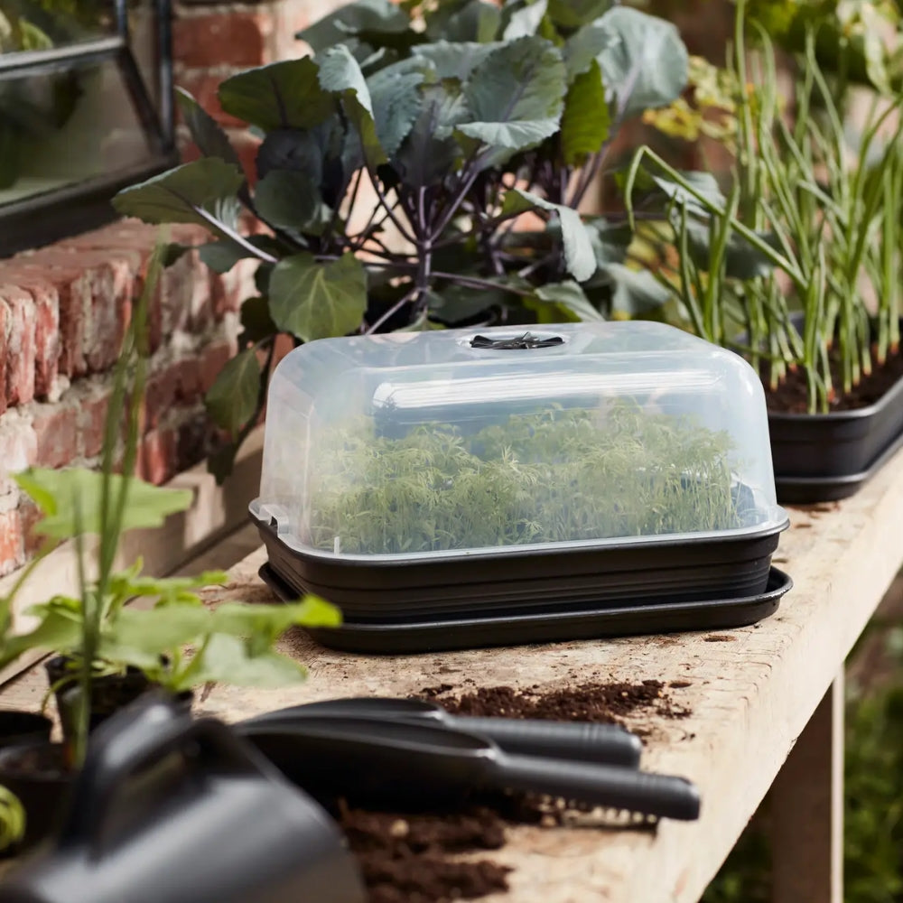 FIORIERA GREEN BASICS GROW SET M LIVING BLACK