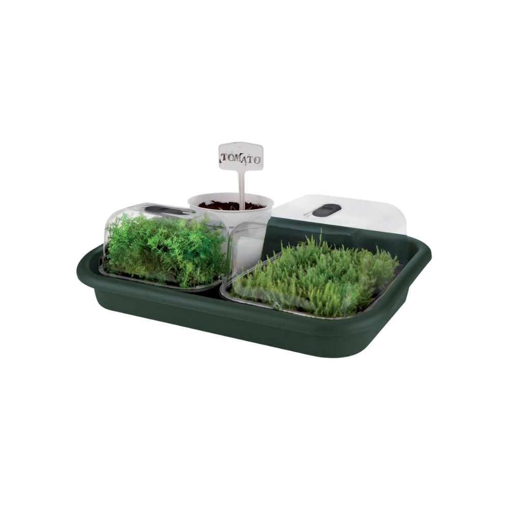 SOTTOVASO GREEN BASICS GARDEN TRAY 59CM LEAF GREEN