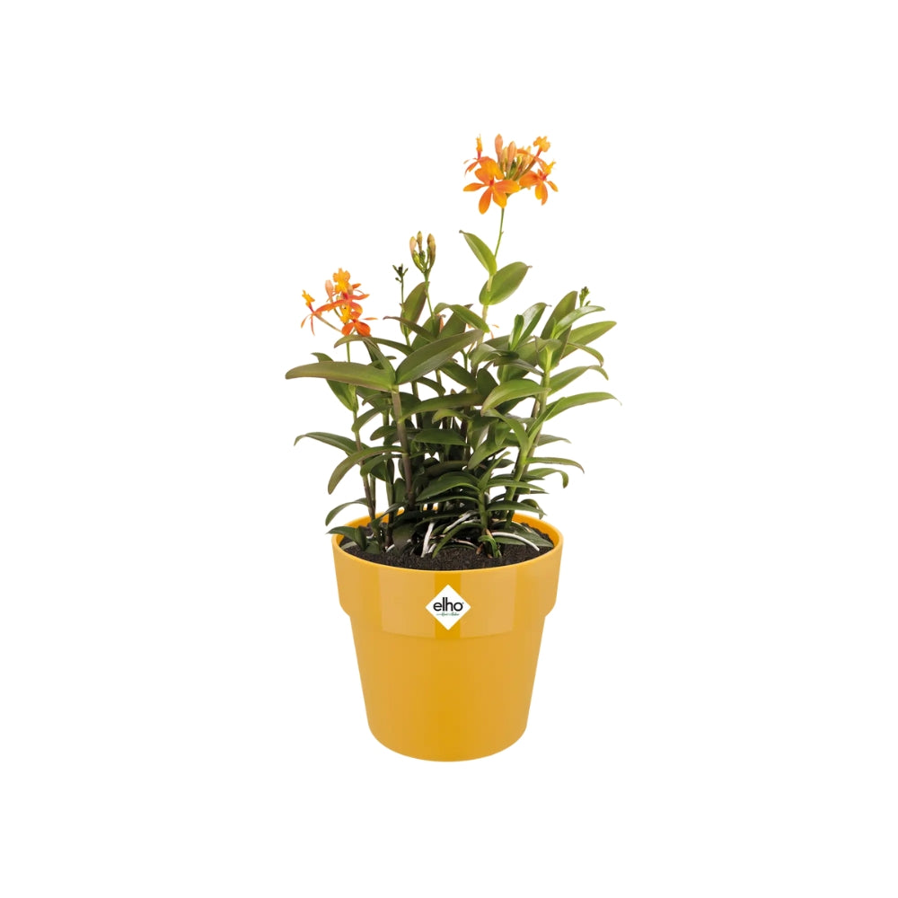 VASO B.FOR ORIGINAL ROUND WHEELS 35CM OCHRE