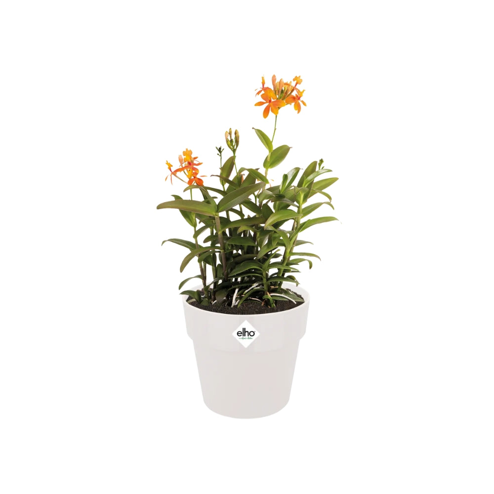 VASO B.FOR ORIGINAL ROUND WHEELS 35CM WHITE