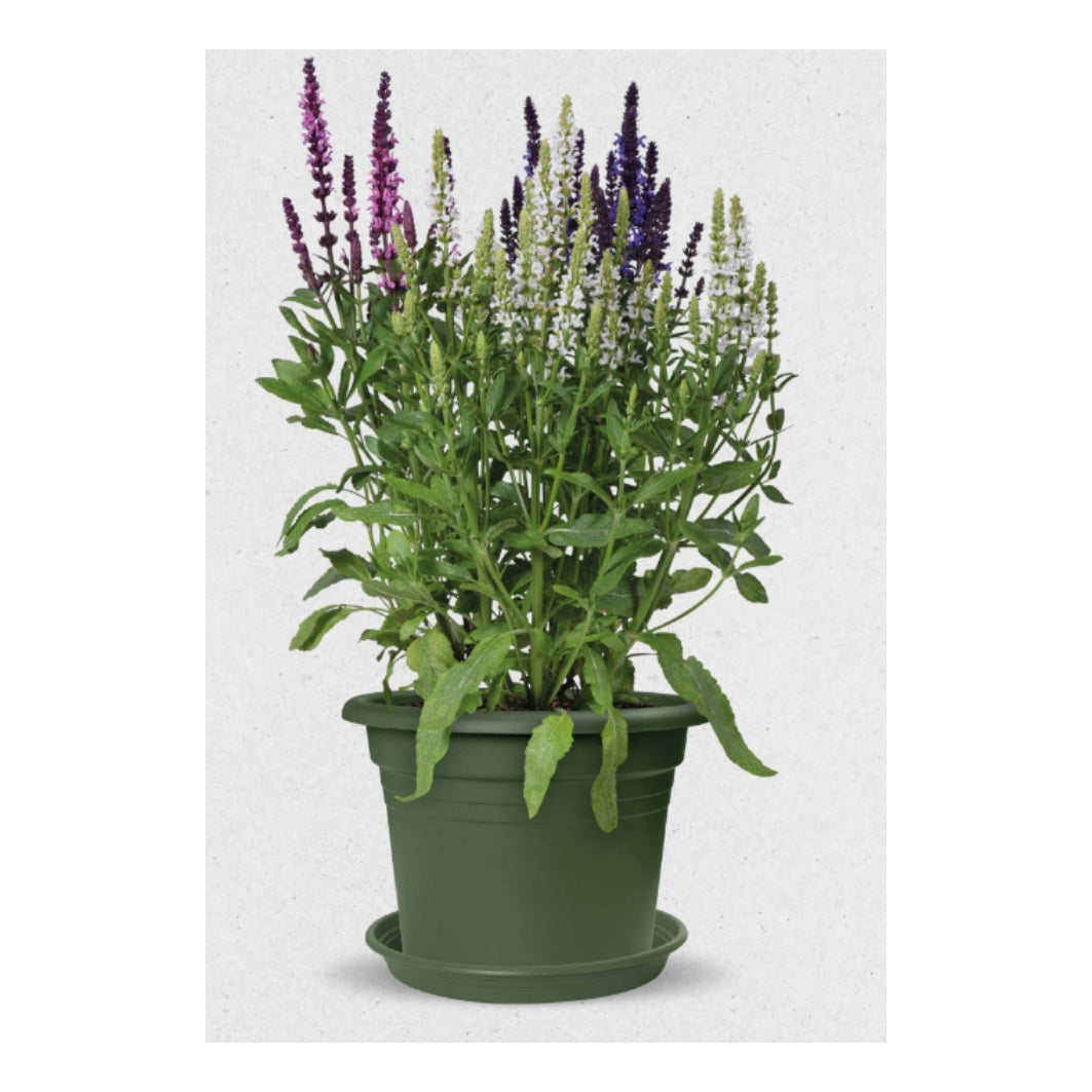 VASO MEDITERRAN CILINDRO 40CM GREEN