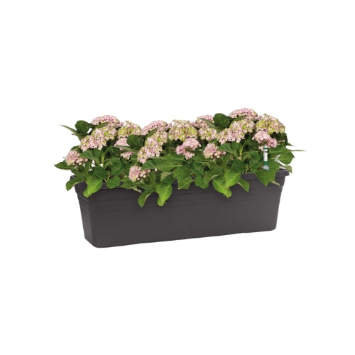 FIORIERA MEDITERRAN CON SISTEMA DI IRRIGAZIONE WATERSYSTEM 60CM ANTRACITE