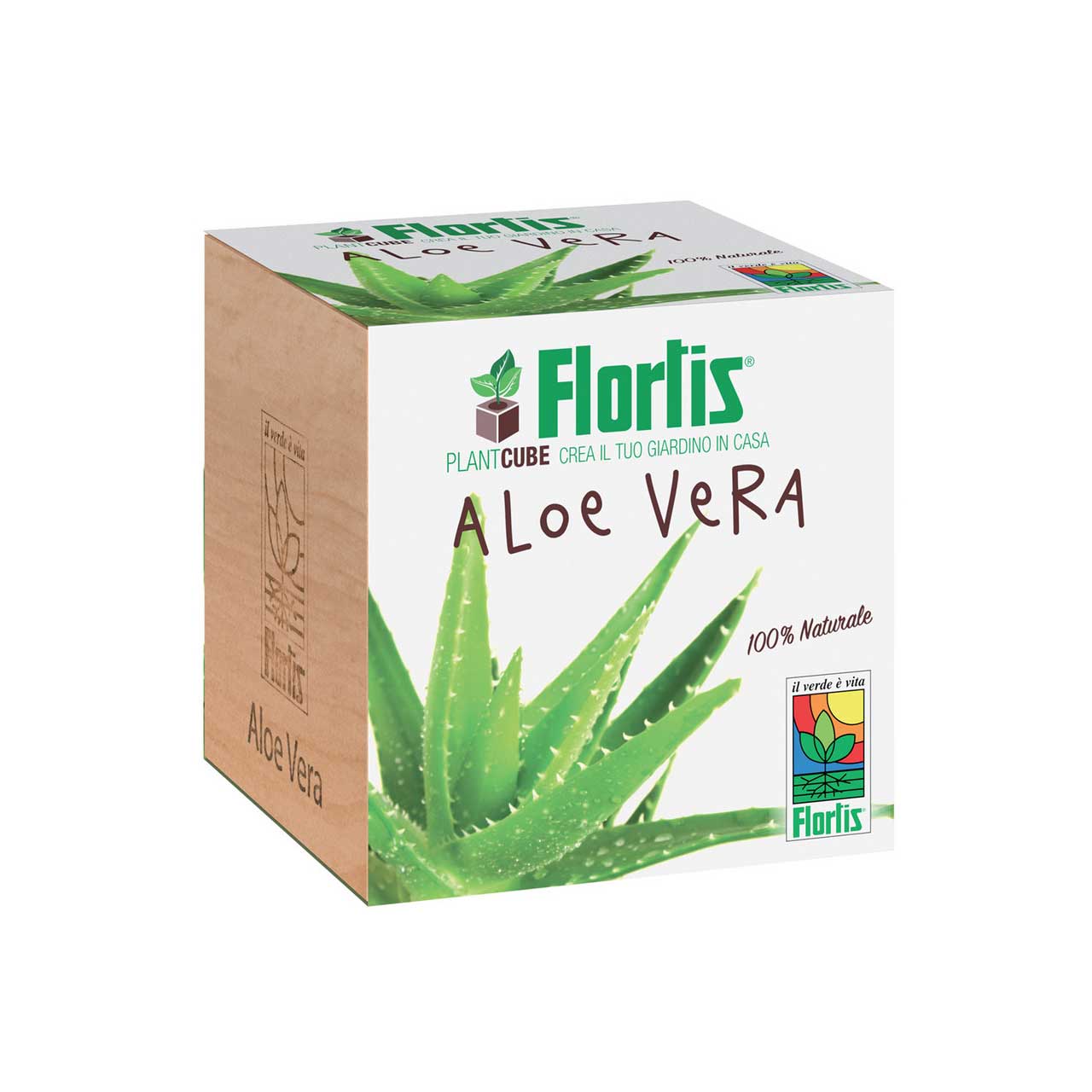PLANTCUBE ALOE VERA 7.5X7.5X7.5 CM