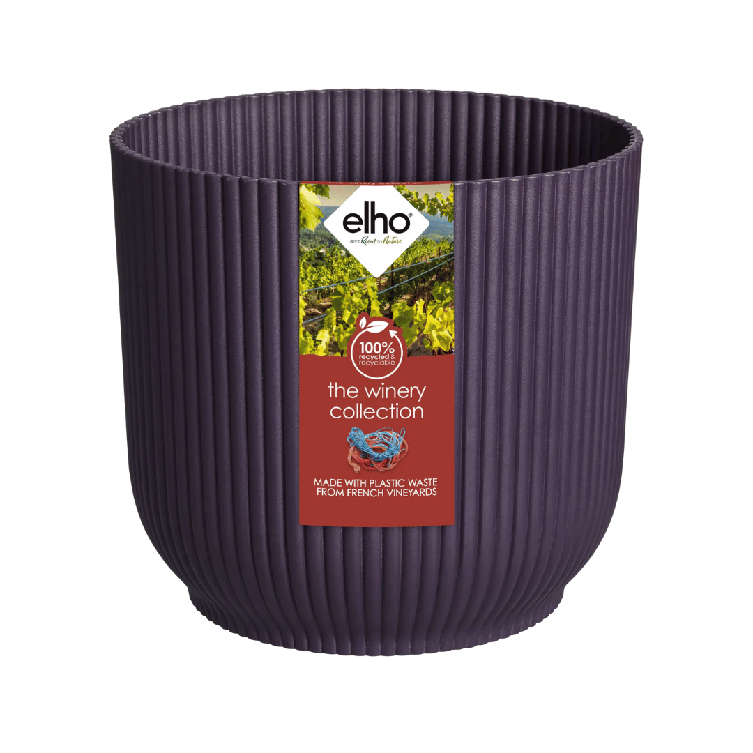 VASO THE WINERY COLLECTION 22CM PORPORA SCURO