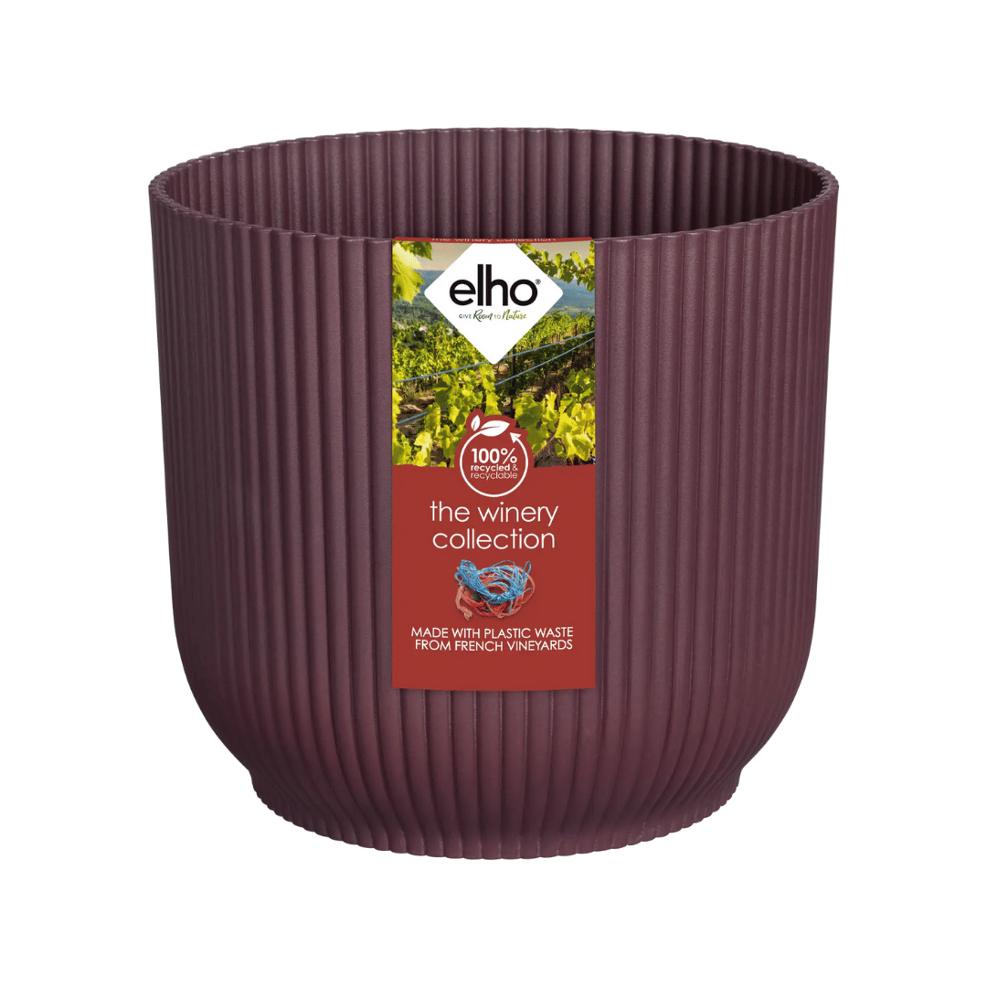 VASO THE WINERY COLLECTION 14CM ROSSO BORDEAUX